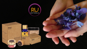 SIGNATURE COLLECTION